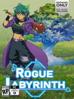 Rogue Labyrinth Box Image