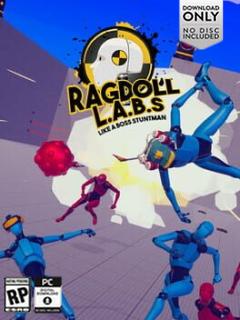 Ragdoll Simulator Box Image